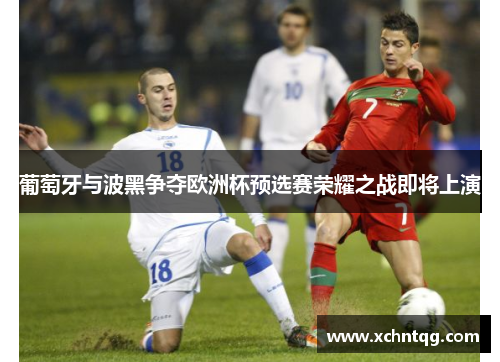 葡萄牙与波黑争夺欧洲杯预选赛荣耀之战即将上演