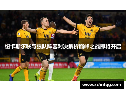 纽卡斯尔联与狼队阵容对决解析巅峰之战即将开启